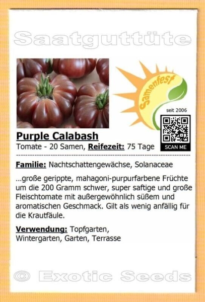 Tomate * Purple Calabash * 20 Samen